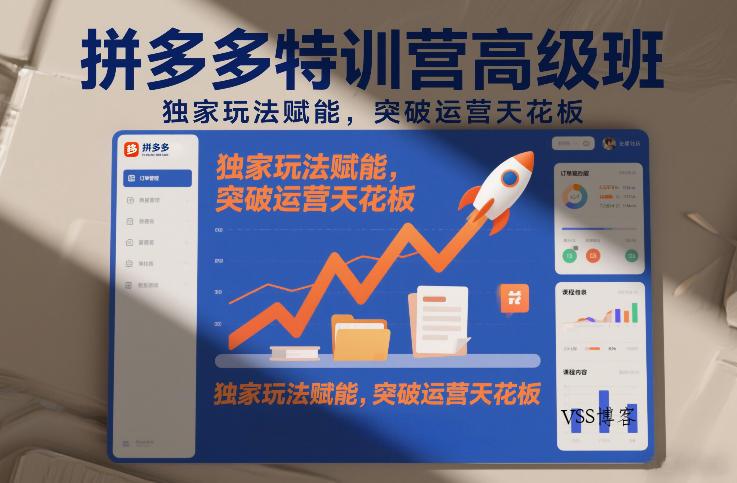 拼多多特训营高阶班，独家玩法赋能，突破运营天花板(更新26年3月19日)-VSS博客