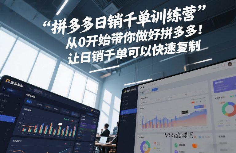 拼多多日销千单训练营,从0开始带你做好拼多多,让日销千单可以快速复制(更新26年3月)-VSS博客
