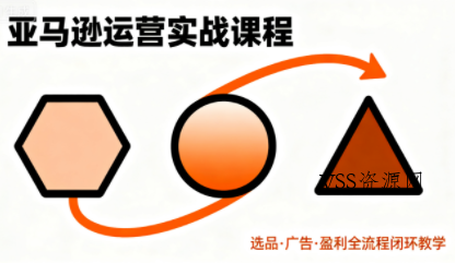 毕方电商·亚马逊全站会员课程(更新3月)-VSS博客