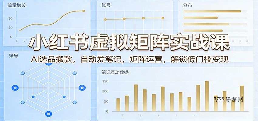 小红书虚拟矩阵实战课：AI选品搬款，自动发笔记，矩阵运营，解锁低门槛变现-VSS博客