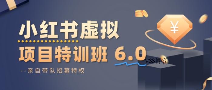 小红书虚拟项目特训课8.0，帮你从0到1打造稳定盈利的店铺，抓住流量红利(更新3月)-VSS博客