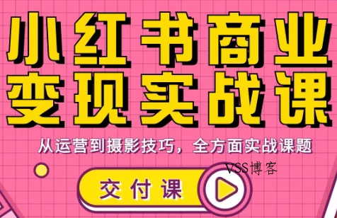 饭饭老师·小红书商业变现实战课-VSS博客