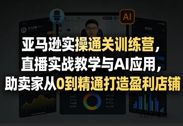 亚马逊实操通关训练营，直播实战教学与AI应用，助卖家从0到精通打造盈利店铺(更新4月2日)-VSS博客