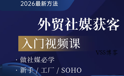 2026外贸社媒获客入门课-VSS博客