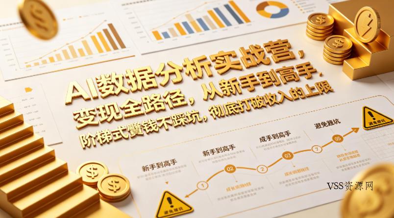 AI数据分析实战营，变现全路径，从新手到高手，阶梯式賺钱不踩坑，彻底打破收入的上限-VSS博客