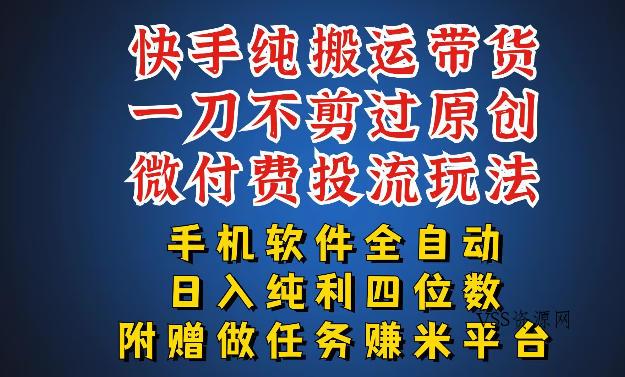最新黑科技快手搬运带货方法，手机就能操作，轻松带你日入四位数【揭秘】-VSS博客