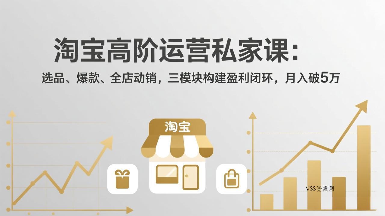 淘宝高阶运营私家课(更新26年4月-VSS博客