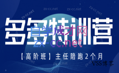 纪主任·拼多多特训营(更新3月)-VSS博客