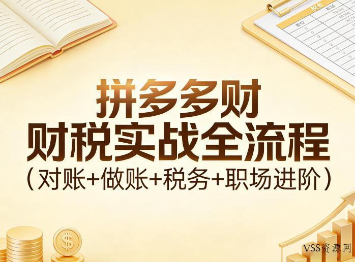 拼多多财税实战全流程(对账+做账+税务+职场进阶)-VSS博客