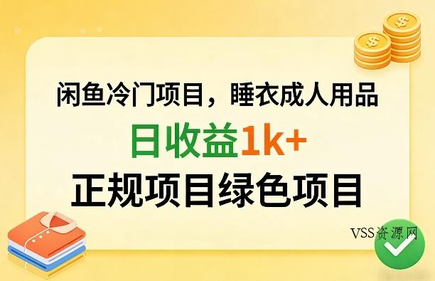 闲鱼冷门项目，情趣内衣成人用品，日收益1k+，正规项目绿色项目-VSS博客