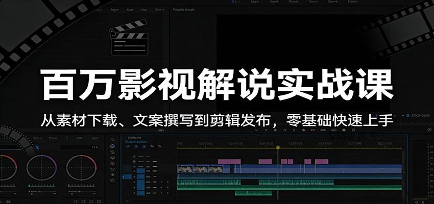 百万影视解说实战课：从素材下载、文案撰写到剪辑发布，零基础快速上手-VSS博客