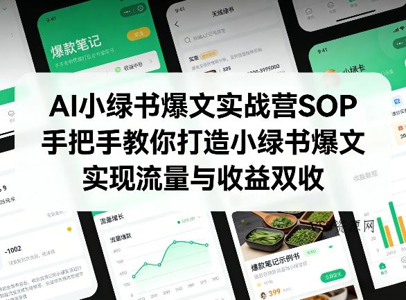 AI小绿书爆文实战营SOP,手把手教你打造小绿书爆文,实现流量与收益双收-VSS博客