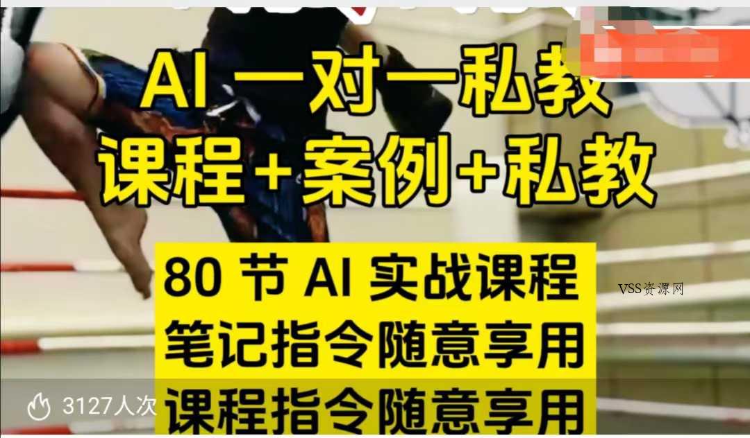AI指令实战课，课程+案例，80节AI实战课程，笔记指令随意享用，课程指令随意享用(更新26年3月)-VSS博客