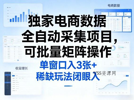 独家电商数据全自动采集项目,可批量矩阵操作,单窗口日入3张+,稀缺玩法闭眼入【揭秘】-VSS博客