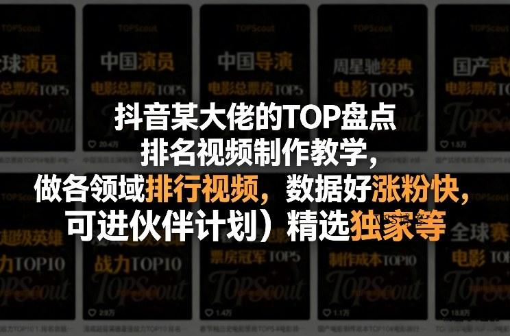 抖音某大佬的TOP盘点排名视频制作，做各领域排行视频，数据好涨粉快，可进伙伴计划＋精选独家等-VSS博客