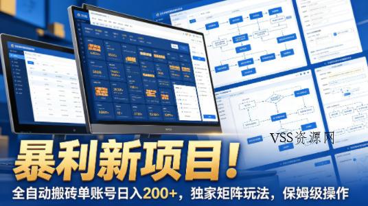 暴利新项目！全自动搬砖单账号日入200+，独家矩阵玩法，保姆级操作【揭秘】-VSS博客