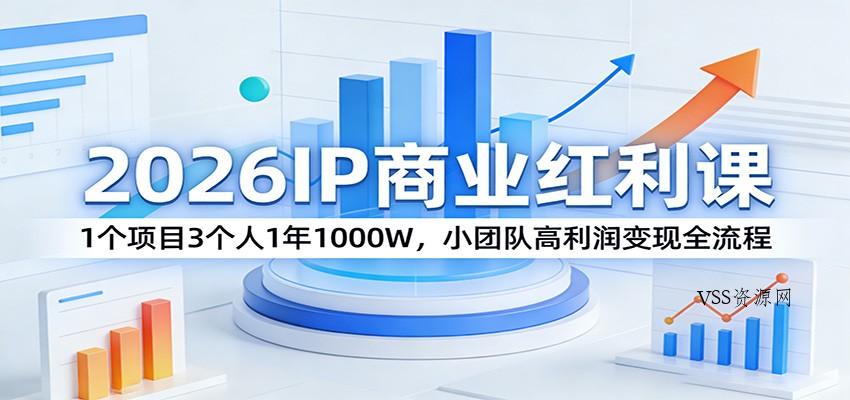 2026IP商业红利课：1个项目3个人1年1000W，小团队高利润变现全流程-VSS博客