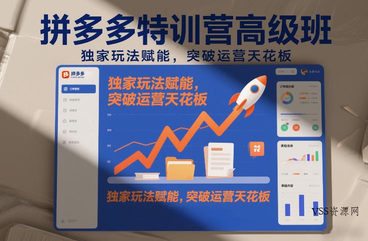 拼多多特训营高阶班，独家玩法赋能，突破运营天花板(更新26年3月27日)-VSS博客
