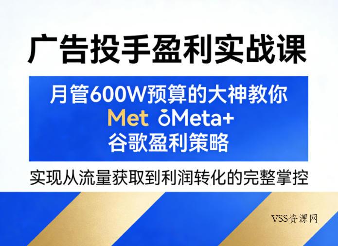 广告投手盈利实战课，月管600W预算的大神教你Meta+谷歌盈利策略，实现从流量获取到利润转化的完整掌控-VSS博客
