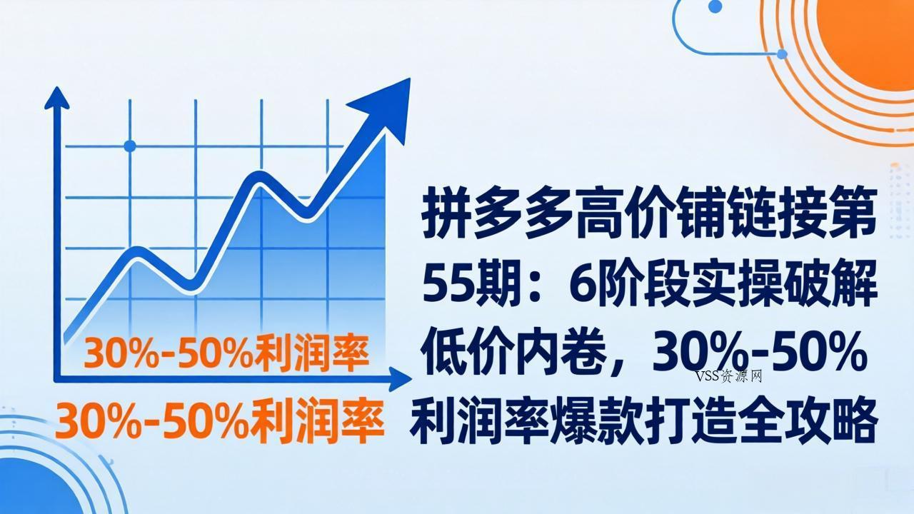 拼多多高价铺链接第55期：6阶段实操破解低价内卷，30%-50%利润率爆款打造全攻略-VSS博客