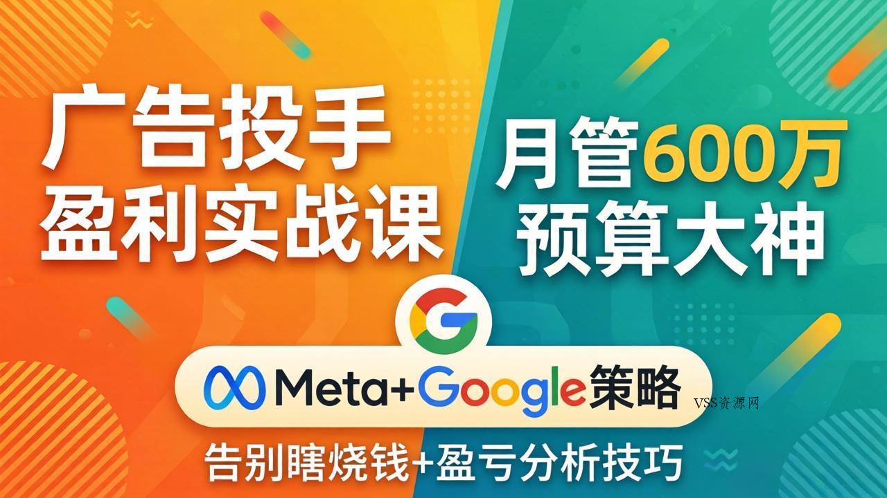 广告投手盈利实战课：月管600万预算大神，带你告别瞎烧钱，Meta+Google策略+盈亏分析-VSS博客