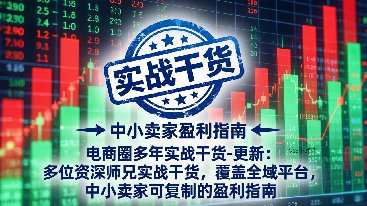 电商圈多年实战干货-更新4月：多位资深师兄实战干货，覆盖全域平台，中小卖家可复制的盈利指南-VSS博客