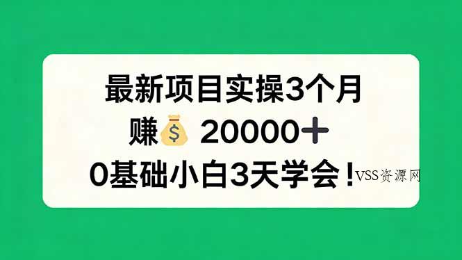 最新项目实操3个月，赚钱20000+，0基础小白3天学会！-VSS博客