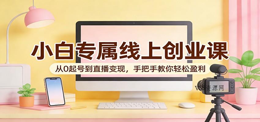 小白专属线上创业课：从0起号到直播变现，手把手教你轻松盈利-VSS博客