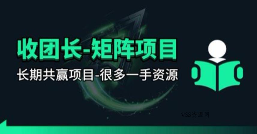 【团长合作】视频矩阵项目_招发手矩阵+剪辑师，共赢项目【揭秘】-VSS博客