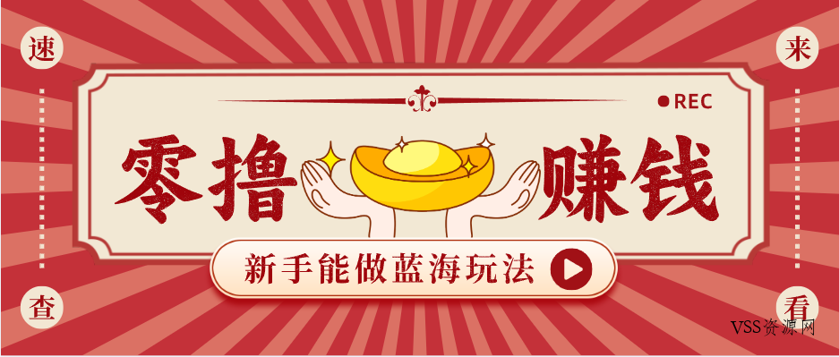 新手也能变现的蓝海玩法,一个人人能做的项目,需求量极大日入300+!-VSS博客