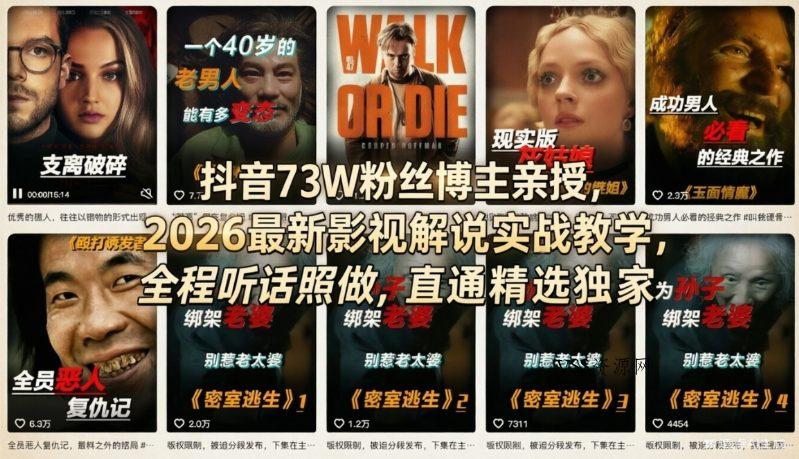 抖音73W粉丝博主亲授,2026最新影视解说实战教学,全程听话照做,直通精选独家-VSS博客