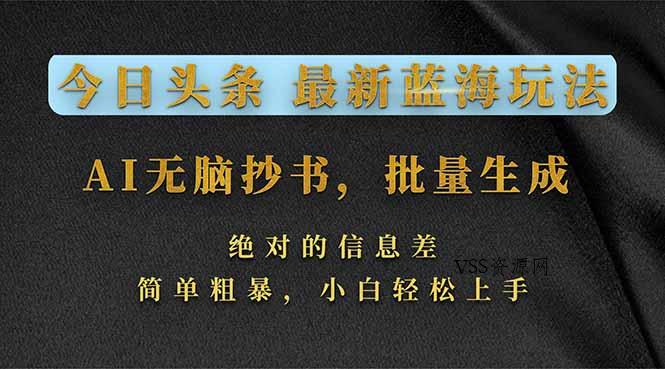 今日头条2026最新蓝海玩法，AI无脑抄书，批量生成，绝对的信息差，简单粗暴，小白轻松上手-VSS博客