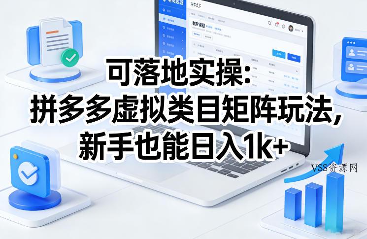 可落地实操：拼多多虚拟类目矩阵玩法，新手也能日入1k+【揭秘】-VSS博客