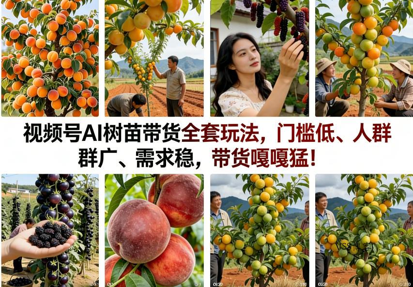 视频号AI树苗带货全套玩法，门槛低、人群广、需求稳，带货嘎嘎猛！(更新0322)-VSS博客